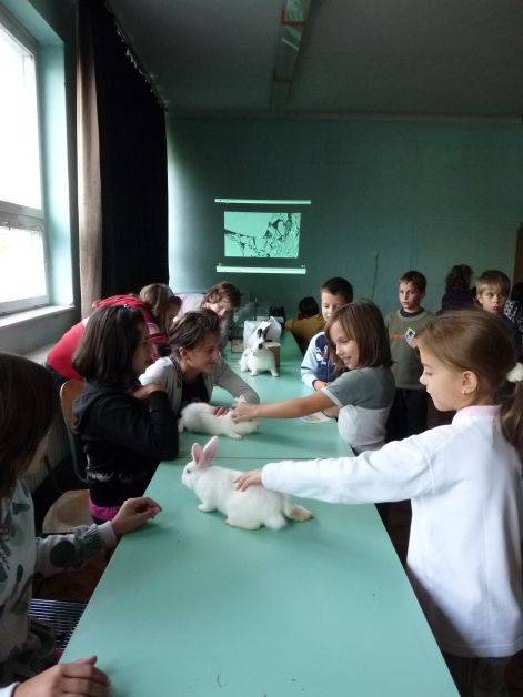allatok_vilagnapja_2010_103.jpg