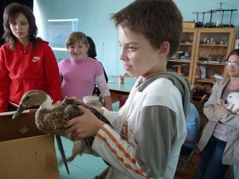 allatok_vilagnapja_2010_35.jpg