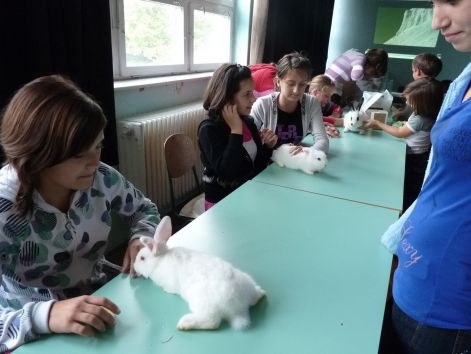 allatok_vilagnapja_2010_46.jpg