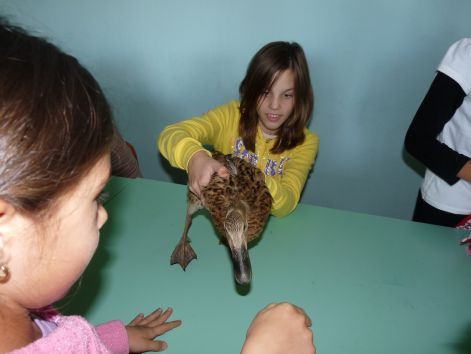 allatok_vilagnapja_2010_73.jpg