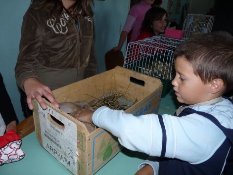 allatok_vilagnapja_2010_74.jpg
