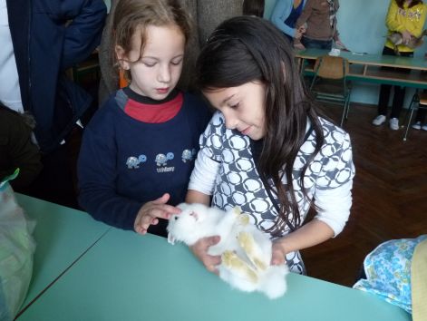allatok_vilagnapja_2010_79.jpg